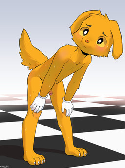 4_toes 5_fingers anthro biped black_eyebrows black_eyes blush bodily_fluids checkered checkered_floor cheek_tuft chest_tuft claws clothing dripping erection eyebrows facial_tuft feet fingers floppy_ears foreskin fur genital_fluids genitals glans gloves gloves_only hand_on_knee hand_on_leg hand_on_own_knee hand_on_own_leg handwear handwear_only humanoid_genitalia humanoid_penis leaning leaning_forward logo male male_anthro mismatched_genitalia mismatched_humanoid_penis mismatched_penis mostly_nude mostly_nude_anthro mostly_nude_male mouth_closed navel nipples orange_body orange_fur orange_nose orange_penis orange_tail partially_retracted_foreskin penis pink_glans pink_nipples precum precum_drip solo standing sweat sweaty_body tail toe_claws toes tuft white_clothing white_gloves white_handwear yellow_sclera young young_anthro young_male cubboard glitch_productions the_amazing_digital_circus scratch_(tadc) bird_dog canid canine canis domestic_dog golden_retriever hunting_dog mammal retriever 2026 absurd_res artist_logo dated digital_media_(artwork) hi_res
