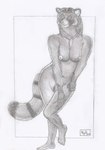 anthro barely_visible_genitalia barely_visible_pussy breasts female genitals nipples nude pussy solo n2o ailurid mammal red_panda hi_res