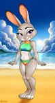 anthro beach bikini blue_sky blush blush_lines breasts clothing cloud countershade_face countershade_feet countershade_legs countershade_thighs countershade_torso countershading day dipstick_ears ear_markings feet female fur grey_body grey_fur legs_together midriff multicolored_ears navel outside pink_inner_ear pink_nose purple_eyes sky small_breasts smile solo standing swimwear turtleneck_swimsuit two-piece_swimsuit rudipomp disney zootopia judy_hopps lagomorph leporid mammal rabbit 2024 full-length_portrait hi_res portrait