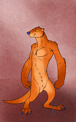 anthro blue_claws blue_nose cheek_tuft chest_tuft claws closed_smile facial_tuft featureless_crotch front_view fur head_tuft male male_anthro mouth_closed nude orange_body orange_eyes orange_fur orange_tail simple_background slim_anthro slim_male smile solo standing tail toe_claws tuft hufnaar mammal mustelid otter full-length_portrait hi_res portrait
