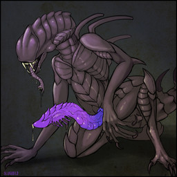 animal_genitalia arm_support balls big_penis bodily_fluids erection fangs genital_fluids genital_slit genitals kneeling long_penis male not_furry nude open_mouth penis precum prehensile_penis purple_penis ridged_penis sharp_teeth solo teeth unusual_anatomy unusual_genitalia unusual_penis vein veiny_penis oddbird alien_(franchise) snakehead404 alien xenomorph 1:1 2013 hi_res