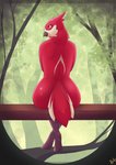 anthro beak butt cheeky feet female forest plant rear_view sitting solo tree halu avian hi_res