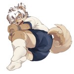 anthro arms_tied athletic_wear blush bottomwear bound brown_body brown_fur butt clothing embarrassed footwear fur gym_bottomwear gym_shorts heterochromia lying male on_side rope shorts slightly_chubby socks solo suggestive young hechaxianzhi lifewonders tokyo_afterschool_summoners masashi_(tas) canid canine canis domestic_dog mammal 1:1 absurd_res hi_res