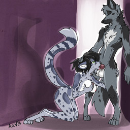 anthro female knot male male/female nude oral acev alex_(helinon) neriya_(helinon) canid canine canis clouded_leopard domestic_cat domestic_dog felid feline felis mammal pantherine 1:1 absurd_res hi_res