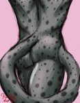 absurd_res anthro butt butt_focus felid fur grey_body grey_fur guide_lines hermesdidit hi_res male mammal pantherine simple_background sketch snow_leopard solo thick_thighs