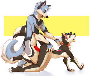 5_fingers all_fours anthro anthro_on_anthro asphyxiation athletic athletic_anthro athletic_female athletic_male black_nose blue_body blue_fur blue_hair blue_pawpads blue_tail blush border breasts brown_body brown_fur brown_hair brown_tail choking claws collar collar_pull doggystyle duo emanata erection eyes_closed female female_penetrated fingers fluffy fluffy_tail from_behind_position fur genitals grey_body grey_fur hair hand_on_hip knot male male/female male_penetrating male_penetrating_female medium_breasts multicolored_body multicolored_fur nipples nude open_mouth pawpads penetration penile penile_penetration penis penis_in_vagina pink_nipples pink_tongue red_collar red_knot red_pawpads red_penis restrained sex shoulder_blades side_view simple_background snout tail toe_claws tongue two_tone_body two_tone_fur two_tone_tail vaginal vaginal_penetration white_body white_border white_fur white_tail yellow_background fivel canid canine mammal digital_media_(artwork)