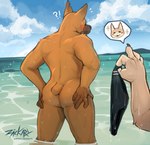 5_fingers anthro beach blush butt butt_grab claws clothing cloud duo embarrassed fingers hand_on_butt hand_on_own_butt holding_clothing holding_object holding_speedo holding_swimwear male nude patreon_username sea seaside short_tail sky speedo swimwear tail water conditional_dnp zackary911 canid canine canis domestic_cat domestic_dog felid feline felis mammal 2022 digital_media_(artwork) hi_res signature