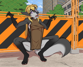 4_toes 5_fingers anthro areola areola_slip bdsm big_breasts black_nose blonde_hair blush bondage bound breasts claws clothing crouching embarrassed feet female finger_claws fingers fur grey_body grey_fur hair hands_tied hindpaw humanoid_hands mostly_nude mostly_nude_anthro mostly_nude_female open_mouth outdoor_nudity outside paws public public_exposure solo tabard tabard_only tail toe_claws toes tongue evangellos karen_(evangellos) canid canine canis mammal wolf 5:4