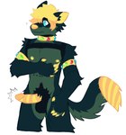 anthro arm_tuft balls biped black_balls blonde_hair blue_eyes claws clothed clothing collar countershading dark_body dark_fur darkened_balls darkened_genitalia erection fur gem genitals green_body green_countershading green_fur hair jewelry light_body male mastectomy_scar multicolored_penis nipples orange_penis partially_clothed penis pubes scar shoulder_tuft simple_background solo standing stitch_(sewing) striped_genitalia striped_penis stripes three-quarter_view tuft two_tone_penis white_background yellow_claws yellow_collar yellow_inner_ear yellow_nipples yellow_nose yellow_penis derppydog king_oxy canid canine canis mammal wolf himbo 2022 hi_res portrait three-quarter_portrait trans_(lore) trans_man_(lore)