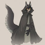 big_ears big_tail black_clothing black_hair bow_ribbon claws cloak clothed clothing female fluffy fluffy_ears fluffy_tail hair hood hooded_cloak huge_tail long_ears short_hair solo tail tall_ears white_clothing wide_eyed yellow_eyes yellow_sclera tateoftot animal_humanoid canid canine canis humanoid mammal wolf 1:1 hi_res