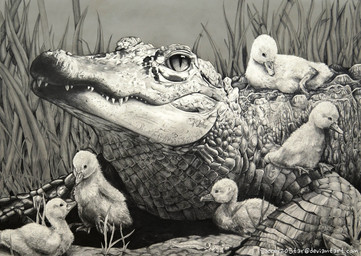 ambiguous_gender detailed_background feral grass group lying plant realistic sitting size_difference text courtneysconcepts alligator alligatorid anatid anseriform avian bird chicken crocodilian duck galliform phasianid reptile scalie 2015 graphite_(artwork) greyscale monochrome traditional_media_(artwork) url