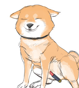 ambiguous_gender black_nose collar countershading creative_censorship eyes_closed feral fur lipstick lipstick_(object) makeup orange_body orange_fur paws simple_background sitting smile solo suggestive tail white_background bow_(artist) canid canine canis domestic_dog mammal shiba_inu spitz censored colored_sketch hi_res sketch