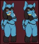 anthro female fur genitals pussy solo wet canvaskat nintendo pokemon canid canine generation_4_pokemon mammal pokemon_(species) riolu hi_res