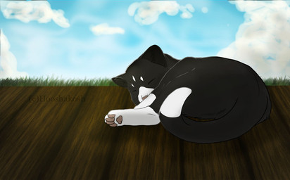 ambiguous_gender black_body black_fur cloud curled_up day eyes_closed facial_markings feral feralized fur grass head_markings markings multicolored_body multicolored_fur outside pawpads pink_pawpads plant sky sleeping solo white_body white_fur wood ouivon attack_on_titan mikasa_ackerman domestic_cat felid feline felis mammal 2013