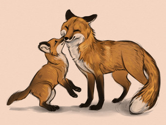 black_markings black_nose black_paws black_socks_(marking) dipstick_tail duo feral fur leg_markings markings orange_body orange_fur simple_background socks_(marking) tail tail_markings white_background white_cheeks white_chest white_tail_tip young alexpahomov canid canine fox mammal 2022 digital_drawing_(artwork) digital_media_(artwork) hi_res