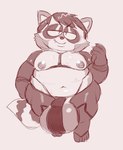 alternate_species anthro balls belly big_balls furrification genitals male nipples overweight solo young ryephero comedy_central south_park eric_cartman mammal procyonid raccoon 2022 absurd_res hi_res