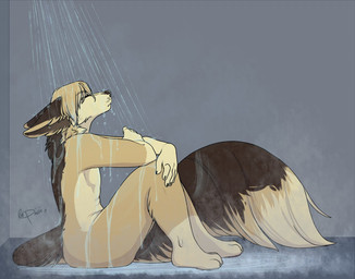 anthro biped eyes_closed fur hair male nude shower sitting solo wet redpixie osiris_henschel canid canine fennec_fox fox mammal true_fox