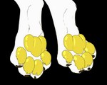 4_toes anthro claws feet foot_focus foot_shot fur male paw_shot pawpads paws solo toe_claws toes white_body white_fur yellow_pawpads yellow_paws mituni_(artist) akatosh canid canine fox mammal animated hi_res short_playtime