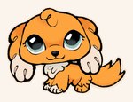 :3 ambiguous_gender black_nose dipstick_ears ear_markings feral floppy_ears fluffy fur multicolored_ears orange_body orange_fur paws quadruped solo tail churasha hasbro littlest_pet_shop lps_10_(g7) bird_dog canid canine canis domestic_dog hunting_dog mammal spaniel hi_res