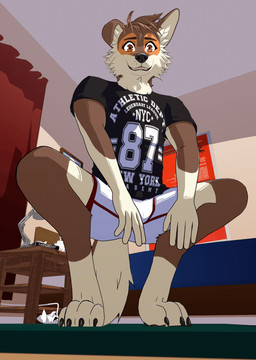 anthro bed black_nose blush bottomwear clothed clothing college_dorm college_student crouching digitigrade fur furniture inside multicolored_body multicolored_fur one_ear_up shirt solo tail text thank_you topwear two_tone_body two_tone_fur ariesartist matthew_(ariesartist) canid canine mammal 3d_(artwork) animated blender_(artwork) blender_eevee_(artwork) digital_media_(artwork) english_text meme