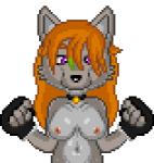 adolescent anthro areola bounce bouncing_breasts breasts clothing female fingerless_gloves front_view fur gloves hair handwear looking_at_viewer multicolored_body multicolored_fur navel nipples nude purple_eyes red_hair simple_background solo two_tone_body two_tone_fur white_background young sonictopfan h.w.t._studios clare_tavin canid canine canis mammal wolf 2017 2d_animation animated digital_media_(artwork) half-length_portrait low_res pixel_(artwork) pixel_animation portrait short_playtime thumbnail