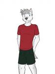 3:4 anthro bottomwear canid canine canis clothed clothing fully_clothed fuze hi_res luke_(texnatsu) male mammal shirt shorts simple_background solo t-shirt texnatsu topwear white_background wolf