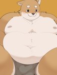 anthro balls_outline belly big_belly blush bulge detailed_bulge genital_outline kemono male moobs nipples obese obese_male overweight overweight_male solo haoming canid canine canis domestic_dog mammal 2022 3:4 hi_res