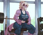 abs anthro barbell biceps big_breasts blue_eyes bodily_fluids bottle breasts container detailed_background female grey_hair gym hair looking_at_viewer midriff muscular muscular_anthro muscular_female non-mammal_breasts pecs_with_breasts purple_body sitting solo sweat vein veiny_arms veiny_muscles water_bottle weights rawslaw5 salvia_carhina fish marine shark signature