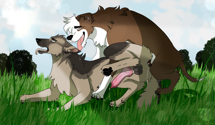 anal anal_knotting anal_penetration animal_genitalia animal_penis anus balls blissful_mouth bodily_fluids brown_body brown_fur canine_genitalia canine_penis cum drooling duo erection feral feral_on_feral feral_penetrated feral_penetrating feral_penetrating_feral fur genital_fluids genitals hair half-closed_eyes knot knot_root knotted_penis knotting light looking_pleasured male male/male male_feral male_penetrated male_penetrating male_penetrating_male muscular muscular_male narrowed_eyes nature nature_background nude open_mouth penetration penile penile_penetration penis precum saliva saliva_string sex smile sunlight tail tongue tongue_out white_body white_fur bublijoestar fan_character nico_(bublijoestar) canid canine canis domestic_dog german_shepherd herding_dog mammal pastoral_dog pit_bull absurd_res digital_media_(artwork) hi_res