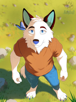 anthro blue_eyes bottomwear claws clothing feral fur grass green_grass hill looking_up male pants plant rock shirt solo t-shirt topwear white_body white_fur netiscraft arthropod butterfly canid canine canis insect lepidopteran mammal wolf 3:4 hi_res