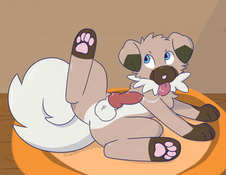 autofellatio balls bodily_fluids cum cum_drip dripping feral floppy_ears genital_fluids genitals knot knotted_penis male masturbation oral oral_masturbation penile penile_masturbation penis solo vixeyhuskybutt nintendo pokemon canid canine canis domestic_dog generation_7_pokemon mammal pokemon_(species) rockruff hi_res