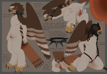 4_toes anal anal_penetration andromorph andromorph/male andromorph_penetrated anthro anthro_on_anthro anthro_penetrated anthro_penetrating anthro_penetrating_anthro arms_tied bdsm beak beak_closed big_wings black_chain black_collar black_mask blindfold blood blue_penis bodily_fluids border bound brown_background brown_body brown_feathers brown_wings buttplug buttplug_in_ass buttplug_insertion chain chained chastity_cage chastity_device claws collar disembodied_penis falconry_hood feathers feet gender_symbol genitals grey_beak grey_buttplug grey_claws hands_behind_back hood humanoid_genitalia humanoid_vulva intersex intersex/male intersex_penetrated male male_penetrating male_penetrating_andromorph male_penetrating_intersex male_symbol mouth_closed multicolored_beak multiple_angles object_in_ass orange_tail penetration penile penile_penetration penile_spines penis penis_in_ass penis_in_vagina plug_(sex_toy) plug_insertion red_body red_scales scales scratches scutes sex sex_toy sex_toy_in_ass sex_toy_insertion simple_background solo spiked_penis spikes spikes_(anatomy) standing submissive submissive_andromorph submissive_intersex sweat symbol tail tan_body tan_feathers tan_streaks teal_border text toes two_tone_beak two_tone_wings vaginal vaginal_penetration vulva wings yellow_beak yellow_scutes buteoposting mythology accipitrid accipitriform avian bird buteo chickenhawk dragon mythological_creature mythological_scalie red-tailed_hawk scalie 2026 english_text full-length_portrait hi_res portrait