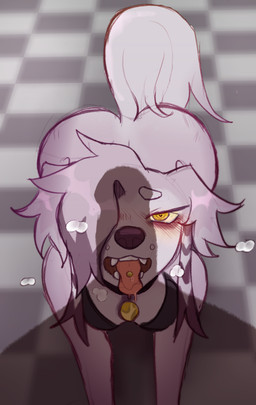 anthro begging blush bodily_fluids breasts clothed clothing collar duo female floor fur genitals grey_body grey_fur hair looking_at_viewer male male/female nude open_mouth penis piercing simple_background solo_focus tail tile tile_floor tongue tongue_piercing topwear esprit-arait candle_the_saluki canid canine canis domestic_dog hunting_dog mammal saluki sighthound digital_media_(artwork) hi_res