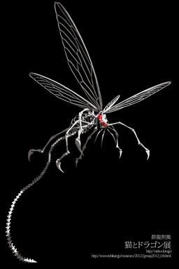 6_legs ambiguous_gender arthropod_abdomen black_background bone feral flying insect_wings long_tail looking_at_viewer multi_eye red_eyes ribs segmented_tail simple_background skeleton solo spine tail text wings deino_(artist) animated_skeleton arachnid arthropod undead 2012 3d_(artwork) autodesk_3ds_max_(artwork) digital_media_(artwork) full-length_portrait hi_res japanese_text portrait url