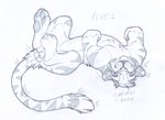 anatomically_correct anatomically_correct_genitalia animal_genitalia balls feline_sheath feral genitals grass happy looking_at_viewer lying male on_back on_ground outside pawpads paws plant playful pose quadruped relaxing sheath simple_background smile smiling_at_viewer solo tail gard3r alvos felid mammal pantherine tiger 2024 graphite_(artwork) monochrome signature traditional_media_(artwork)