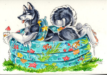 anthro beverage blue_eyes cocktail_garnish cocktail_umbrella fur glass grass grey_body grey_fur male nude pawpads plant pool_float solo tongue tongue_out water white_body white_fur heather_bruton canid canine canis domestic_dog husky mammal nordic_sled_dog spitz 2026