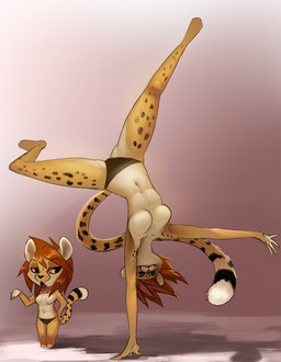anthro black_spots breasts clothed clothing featureless_breasts female fur handstand light looking_at_viewer markings navel panties simple_background spots spotted_body spotted_fur topless underwear shnider cheetah felid feline mammal 2015 hi_res lighting