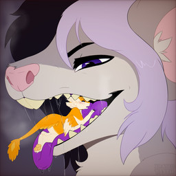 3_fingers 3_toes 4_ears anthro black_hair body_in_mouth character_in_mouth duo feathered_wings feathers feet female fingers fur grey_body grey_fur hair in_mouth inner_ear_fluff larger_anthro larger_female larger_nude male micro mouth_shot multi_ear nude nude_anthro nude_female nude_male open_mouth orange_body orange_feathers pawpads pink_inner_ear pink_nose purple_eyes purple_tongue size_difference smaller_anthro smaller_male smaller_nude toes tongue tuft white_arms white_body white_ears white_feathers white_hair white_inner_ear_fluff white_legs winged_arms wings yellow_body yellow_feathers yellow_pawpads xratedt33th rant_(rantelraton) ravashi_(dynnie) avali avian mammal mouse murid murine rodent 1:1 absurd_res hi_res signature female_(lore) male_(lore)