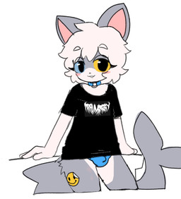 anthro band_shirt blush bulge clothing countershading detailed_bulge eyelashes femboy genital_outline heterochromia leaning_against_wall looking_at_viewer male male_anthro penis_outline shark_tail shirt smile sticker_on_leg topwear underwear popstick trauma_ray pop_(popstick) aquatic domestic_cat felid feline felis fish hybrid mammal shark 2025 hi_res