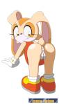 anthro anus bottomless butt clothed clothing cotton_tail dress female footwear fur genitals looking_back orange_clothing presenting presenting_anus presenting_hindquarters presenting_pussy pussy shoes solo tail tail_motion tail_tuft tailwag tan_body tan_fur tuft young young_anthro zerotoons sega sonic_the_hedgehog_(series) cream_the_rabbit lagomorph leporid mammal rabbit 2d_animation 4:7 animated short_playtime subtle_animation