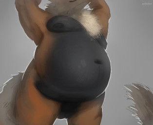 anthro anthrofied balls belly belly_focus big_belly black_body black_fur chest_tuft fur genitals low-angle_view male moobs navel nude orange_body orange_fur overweight overweight_anthro overweight_male pokemorph presenting_belly raised_arms solo tail tuft paradoxinhead nintendo pokemon arcanine generation_1_pokemon pokemon_(species) 2021 digital_drawing_(artwork) digital_media_(artwork) english_description