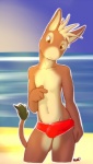 anthro bare_chest beach biped brown_body brown_fur brown_tail bulge clothed clothing collarbone detailed_background detailed_bulge fur genital_outline male outside penis_outline sand seaside skimpy sky snout solo speedo standing swimwear tail tan_body tan_fur water yellow_eyes kuni choko_(chokodonkey) asinus donkey equid equine mammal 2010