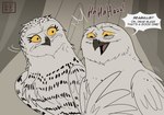 bodily_fluids dialogue duo feathers female feral laugh male tears text white_body white_feathers yellow_eyes kabuki-aku guardians_of_ga'hoole barran_(gogh) boron_(gogh) avian bird horned_owl owl snowy_owl true_owl absurd_res english_text hi_res