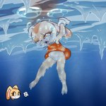 anthro asphyxiation barefoot bottomless bound buckteeth clothed clothing cold dress drowning dying encasement feet female freezing frozen gameplay_mechanics genitals gloves handwear ice imminent_death innie_pussy life_(gaming) navel orange_eyes pussy solo teeth underwater upskirt water wince young e254e sega sonic_the_hedgehog_(series) cream_the_rabbit lagomorph leporid mammal rabbit absurd_res hi_res