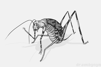 2_toes 3_fingers 4_legs ambiguous_gender antennae_(anatomy) body_horror creepy derp_eyes exoskeleton feet feral feral_transformation fingers grey_background hairy human_to_feral light mandibles multi_leg multi_limb nightmare_fuel open_mouth raised_arm shadow simple_background sitting solo species_transformation spines teeth toes transformation vein what white_background nymaurelian arthropod camel_cricket human hybrid insect mammal orthopterid 2017 3:2 absurd_res aliasing digital_drawing_(artwork) digital_media_(artwork) full-length_portrait greyscale hi_res lighting monochrome portrait