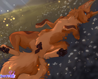 animal_genitalia animal_vulva anus big_ears big_eyes blue_eyes bodily_fluids brown_body brown_fur brown_markings brown_nose canine_genitalia canine_vulva female feral fluffy fluffy_tail fur fur_markings genital_fluids genitals grass light looking_at_viewer lying markings on_back on_grass on_ground pawpads paws plant presenting presenting_anus presenting_vulva smile solo spread_legs spreading sunlight tail tan_body tan_fur vaginal_fluids vulva canid canine canis fox mammal absurd_res digital_media_(artwork) hi_res