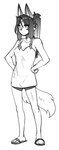 anthro arms_bent bangs biped breasts camisole clothed clothed_anthro clothed_female clothing collarbone female female_anthro flip_flops fluffy fluffy_tail footwear fur glistening glistening_hair hair hair_between_eyes long_hair mouth_closed sandals shoes simple_background solo standing tail white_background kambo lenka_(janjin192) canid mammal 2022 digital_media_(artwork) english_description full-length_portrait greyscale hi_res monochrome portrait