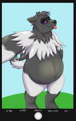 anthro belly black_body black_fur digitigrade fur grey_body grey_fur male overweight overweight_male purple_eyes selfie slightly_chubby solo text tongue alex.fetter nintendo pokemon generation_3_pokemon pokemon_(species) zigzagoon absurd_res english_text hi_res