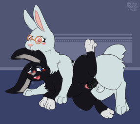 animal_genitalia balls blush bodily_fluids breath claws cum cum_from_vagina cum_in_vagina cum_inside ear_nibble ejaculation eyewear female female_penetrated feral floppy_ears genital_fluids genitals glasses humping intraspecies leaking_cum looking_pleasured lop_ears male male/female male_penetrating male_penetrating_female paws penetration penile penile_penetration penis penis_in_vagina raised_leg sex sheath tail taper tapering_penis teeth tongue vaginal vaginal_fluids vaginal_penetration vulva conditional_dnp pocketpaws raisin_bread cubert_milkway ivy_shell lagomorph leporid mammal rabbit 2d_animation animated frame_by_frame hi_res loop