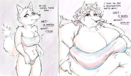 anthro before_and_after big_breasts breast_growth breasts crossgender dialogue female gender_transformation gender_transition growth gynomorph hair hair_growth hormone_replacement_therapy huge_breasts inflation intersex lgbt_pride long_hair looking_at_viewer morbidly_obese morbidly_obese_anthro morbidly_obese_female mtg_crossgender mtg_transformation mtg_transition mti_crossgender mti_transformation obese obese_anthro obese_female overweight overweight_anthro overweight_female pride_colors solo tail text transformation transgender_pride_colors weight_gain ryoxxl canid canine fox mammal absurd_res comic english_text hi_res restricted_palette trans_(lore) trans_woman_(lore)